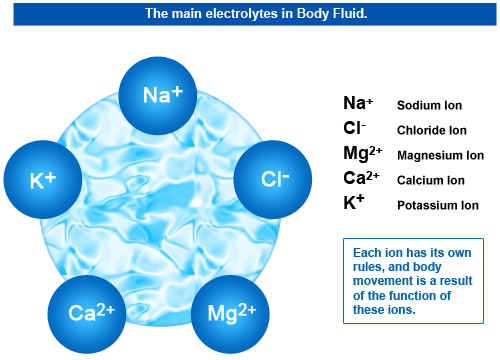 مکانیسم های تنظیم آب , الکترولیت های بدن , سدیم (Na+ ) , پتاسیم (K+ ) , کلسیم (Ca2+ ) , بی کربنات (HCO3- ) , منیزیم (Mg2+ ) , کلرید (C1- ) , فسفات هیدروژن (HPO42- ) , اندازه گیری آب کل بدن , گلومرولی , جریان پلاسمای کلیه , آلدوسترون , هورمون آنتی دیورتیک (ADH) , فاکتور دهلیزی دفع کننده سدیم (ANF) , گوانیلین , هیپرناترمی , هیپوناترمی , هیپوکالمی , هیپرکالمی , هیپوکلرمی , شکاف آنیونی