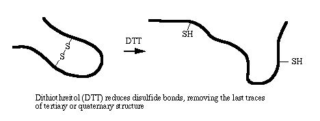 تکنیک الکتروفورز عمودی , SDS-PAGE , اثر ژل پلی اکریل آمید , تکنیک SDS-PAGE در شرایط احیایی و غیراحیایی , مکانیسم عمل مرکاپتو اتانول, ژل متراکم کننده (Stacking gel), و ژل جداکننده (resolving gel) ,مواد لازم جهت انجام SDS-PAGE, ژل پایین (ژل جدا کننده),پرسولفات آمونیوم,محلول استوک اکریل آمید,رنگ آمیزی با کوماسی بلو R-250,عدم پلیمریزاسیون یا پلیمریزاسیون ناقص ژل , منعقد نشدن بخشی از ژل اکریل آمید در قالب شیشه ای, مشکل: جدا شدن ژل از شیشه یا ,طلق های قابل اتصال به ژل, چروکیده شدن ژل, چاهک های نامنظم و ناقص در ژل بالا (Stacking gel , حرکت بیشتر رنگ نشانگر ,در بخش میانی ژل, وجود باند قوی در ابتدای ژل جدا کننده , قرار نگرفتن نمونه در ته چاهک ها , جاری شدن نمونه در چاهک های کناری , باندهای نامنظم و مواج ,  وجود ستون های رنگی با باندهای نا مشخص یا کاملا تفکیک نشده, خطوط رنگی در مسیر ,الکتروفورز در ستون ها , رانش کاتدی پروتئین ها در ایزوالکتروفوکوسینگ , عدم تکرار پذیری نتایج الکتروفورز